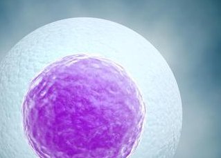 判断女性好子宫的三种表现？如何调理子宫健康