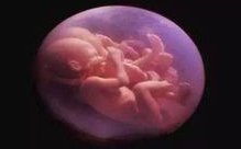 试管婴儿费用大解析：全面解读试管婴儿价格与费用概览（2026版）