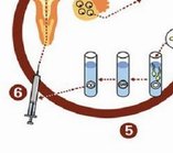 不孕不育在吉安市做试管的费用有多少？一文告诉你做三代试管建档的流程有哪些