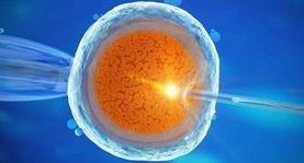 佛山顺德妇幼保健院我想做试管生一个孩子成功的几率高吗？