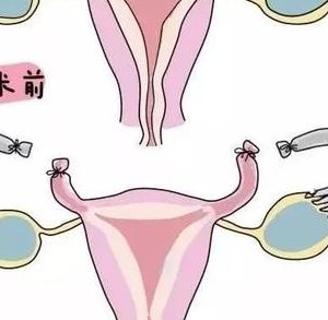 广州试管成功率高的医院排名前五，附影响试管成功率的因素汇总